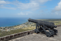 Cannon